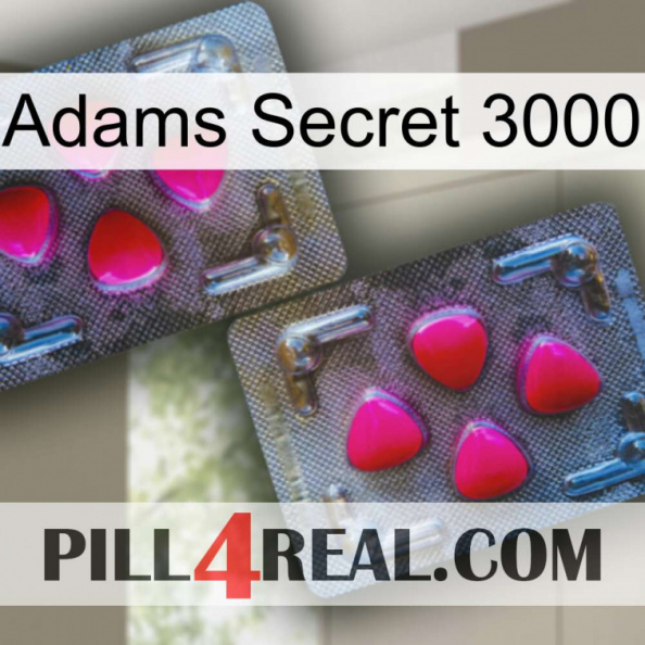 Adams Secret 3000 15.jpg